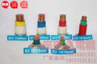 B V V 系列電纜 (含阻燃型、耐...